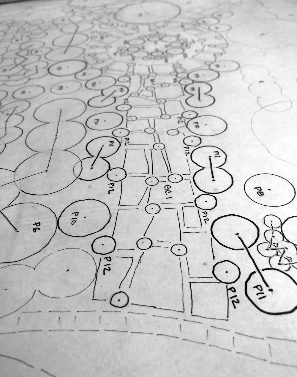 Planting Plan