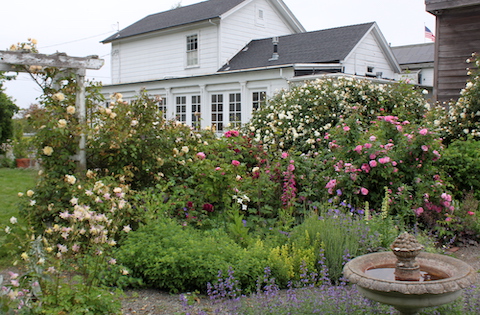 touring the gardens of Pescadero