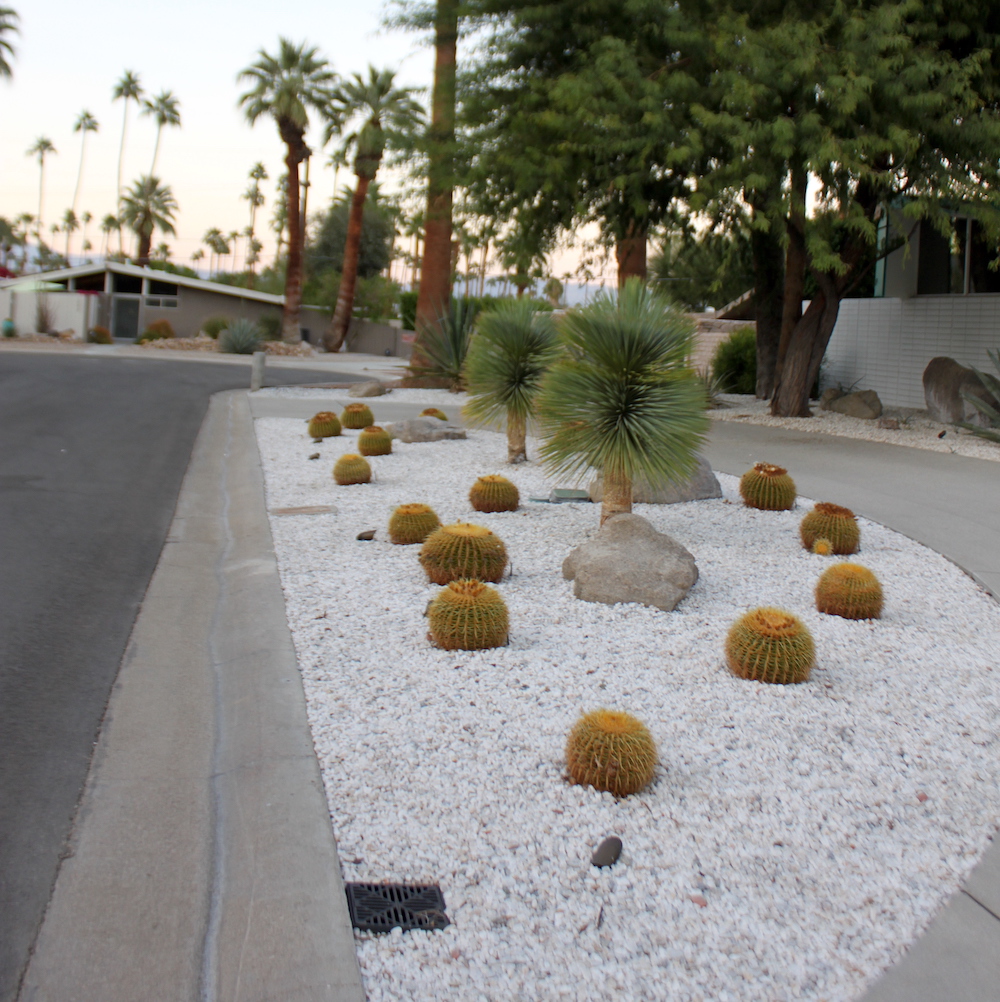 A suburban desert landscape at dusk