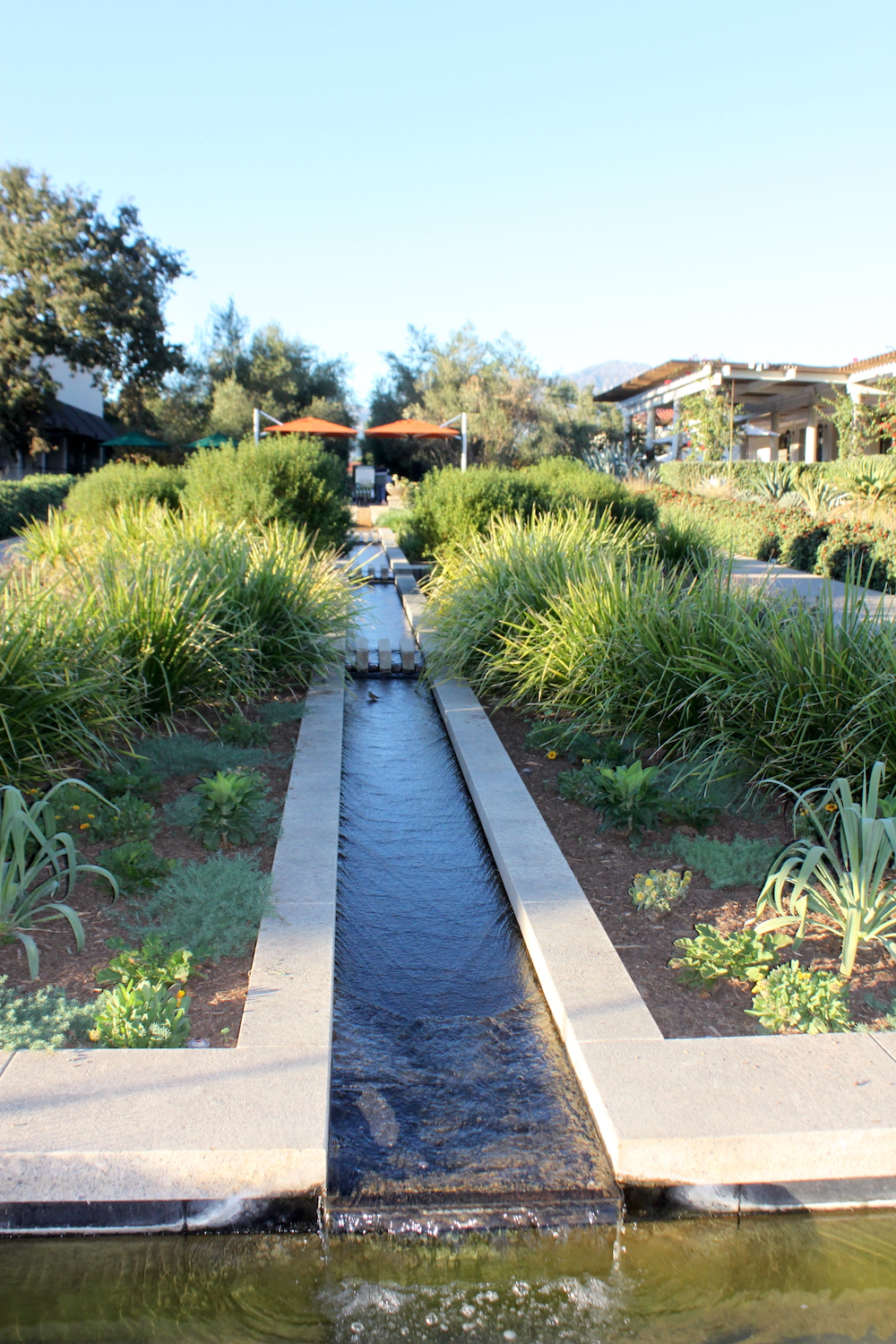 View from the bottom of the rill