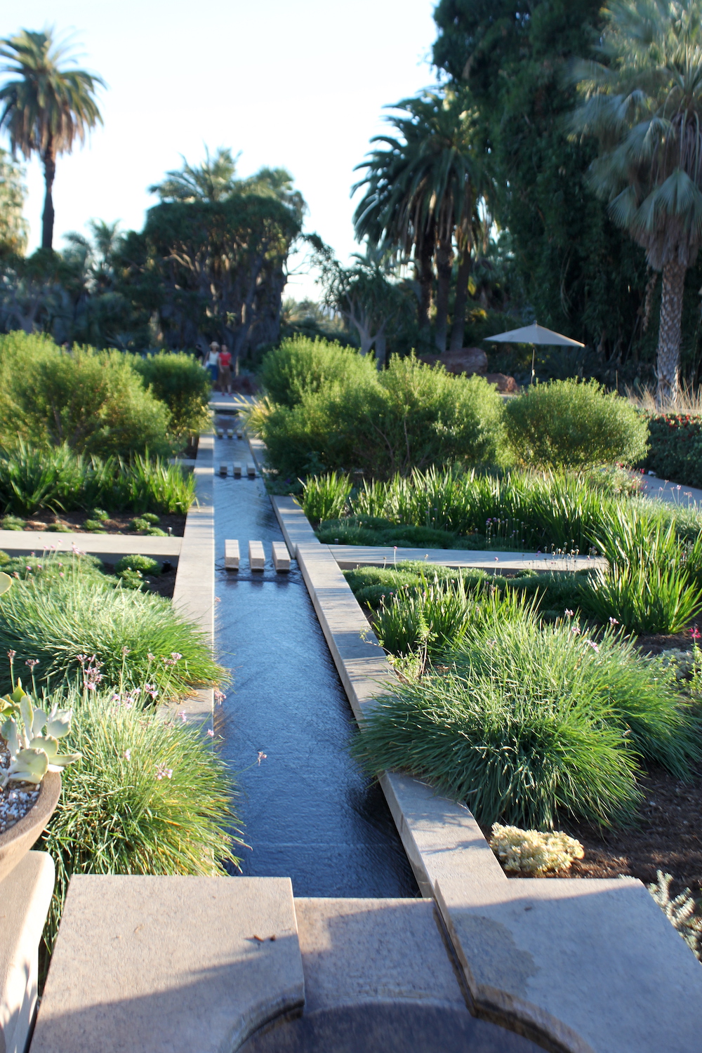 View from the top of the rill