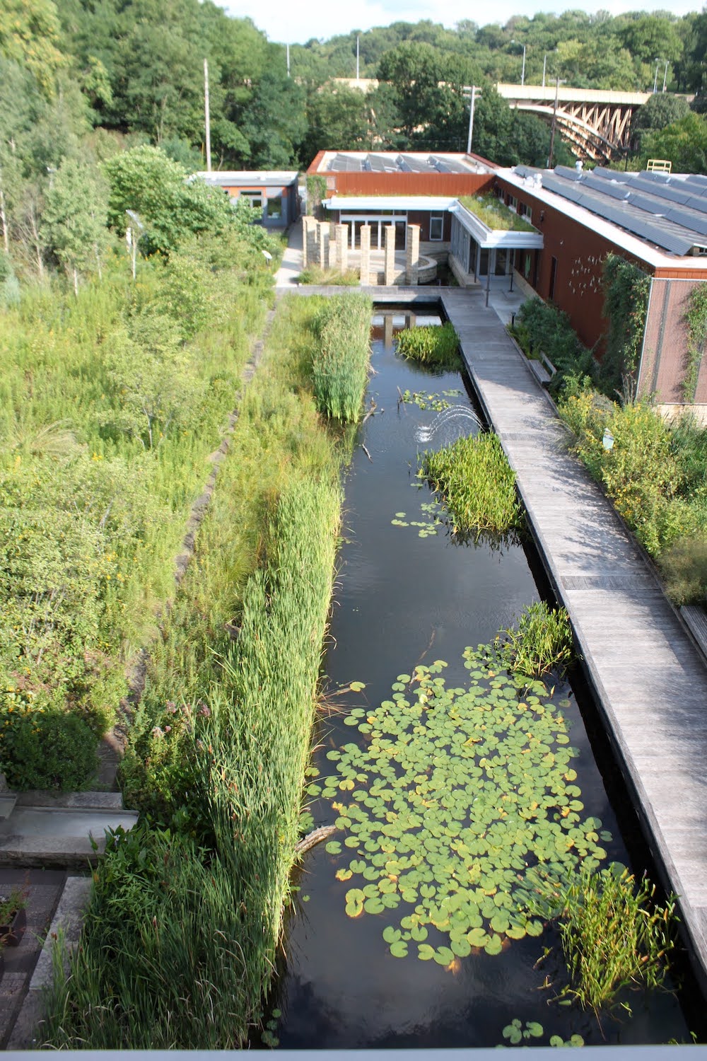 View of "Froggy Bottom" from a nearby green roof