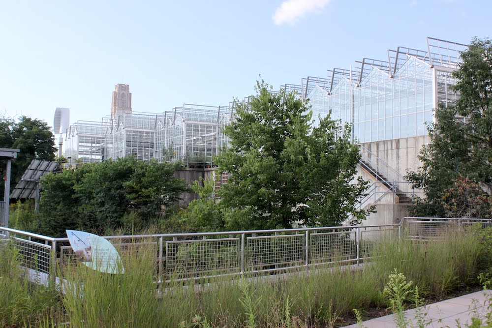 Phipps Conservatory Production Greenhouse