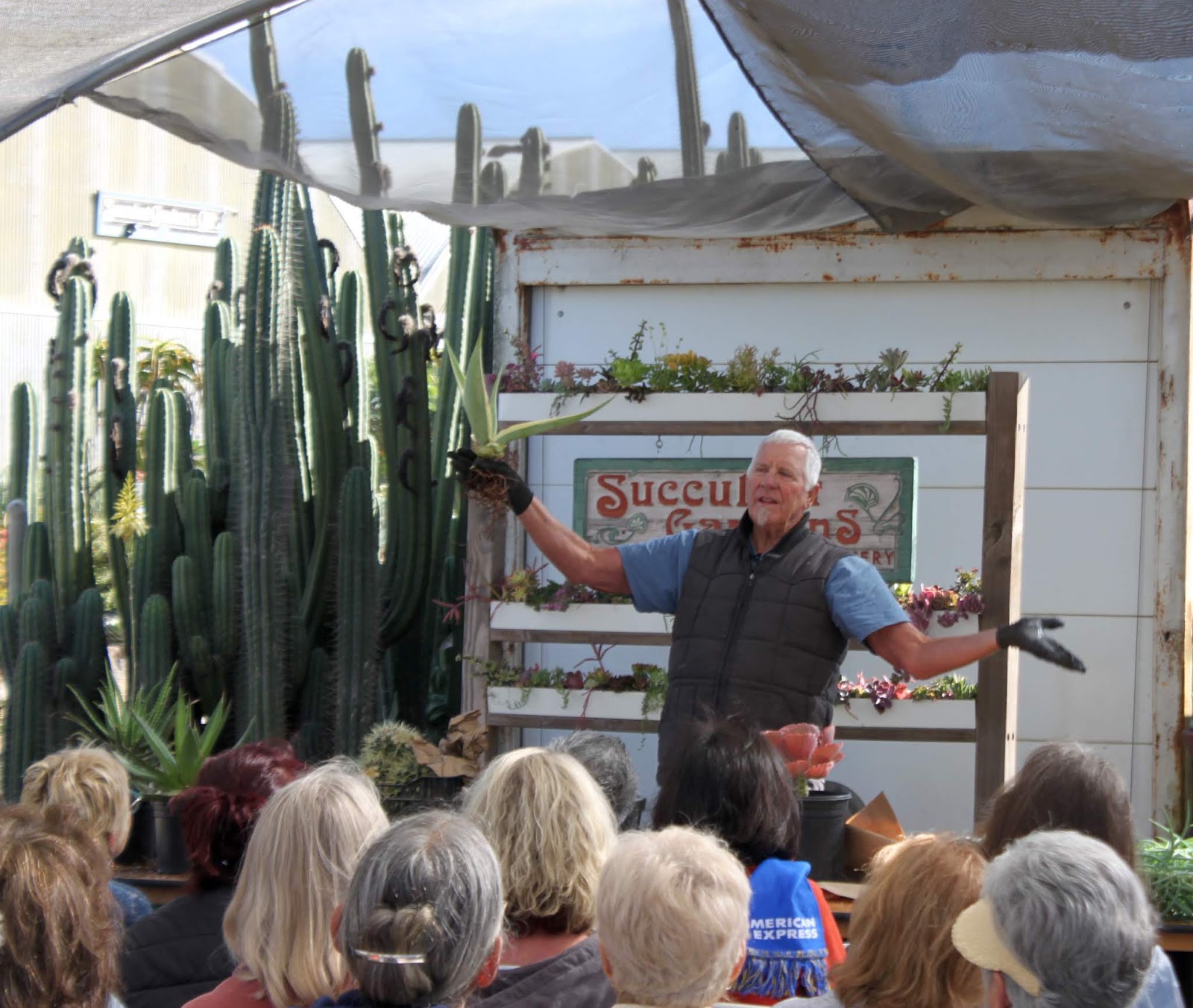 Robin Stockwell founder of Succulent Gardens