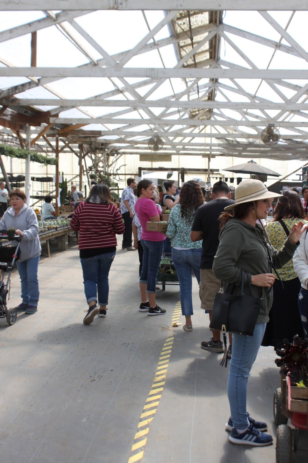 Long line to buy plants